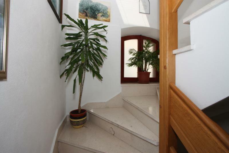 Marjan Apartment & Rooms Split Eksteriør bilde